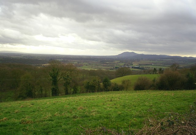 The Lower Teme Valley from Collins Green