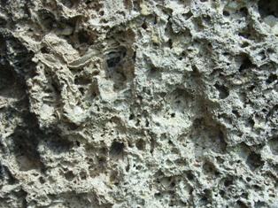 Detail of Tufa showing porous texture