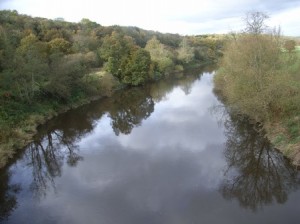 The River Severn running through the Country Park. In geological terms the river is a very recent addition having carved out its course over the last 12,000 years