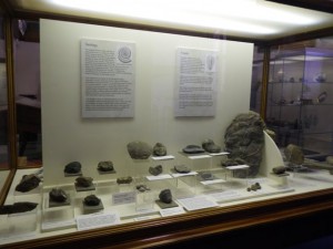 One of the rock and fossil exhibition cabinets in Worcester Museum. Wonderful specimens! 