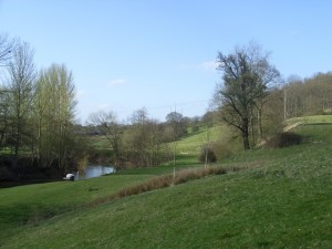 River Teme, Martley