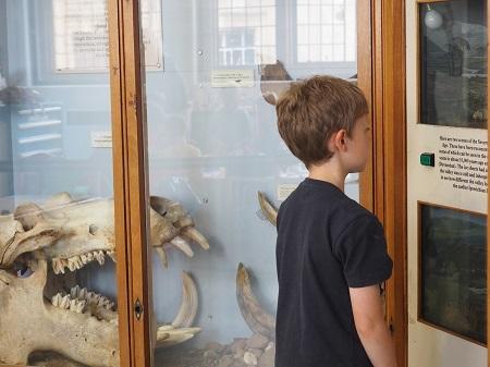 boy_looking_at_ice_age_exhibition_450